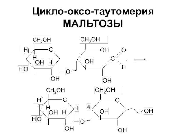 Цикло-оксо-таутомерия МАЛЬТОЗЫ