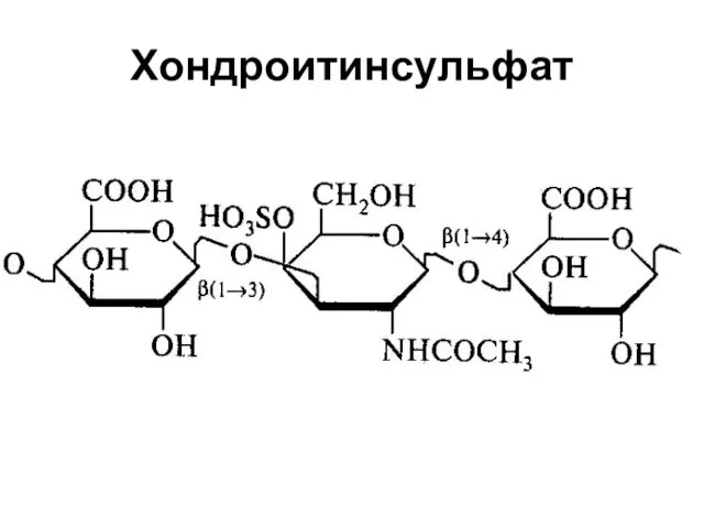 Хондроитинсульфат