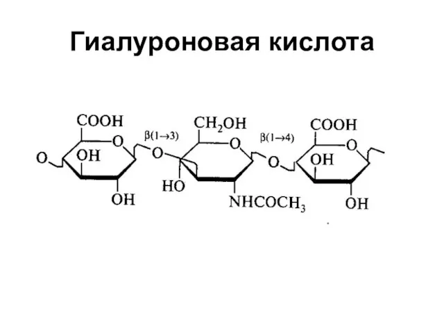 Гиалуроновая кислота