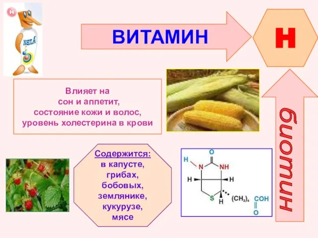 ВИТАМИН H биотин Влияет на сон и аппетит, состояние кожи и