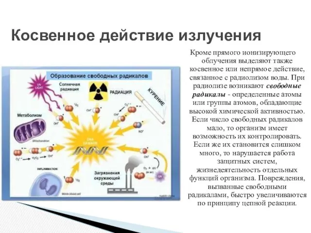 Косвенное действие излучения Кроме прямого ионизирующего облучения выделяют также косвенное или