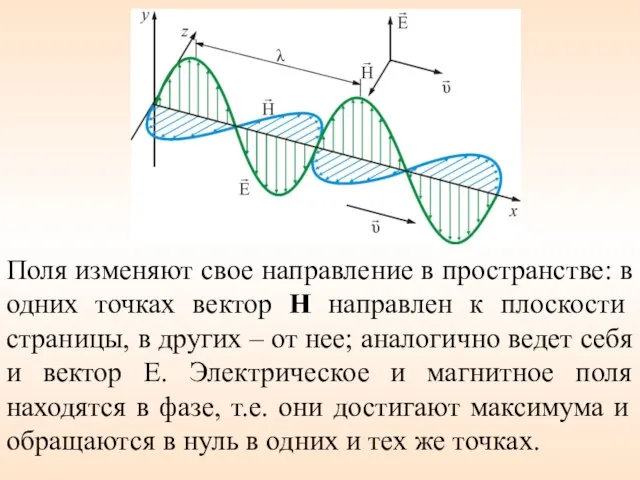 Поля изменяют свое направление в пространстве: в одних точках вектор Н