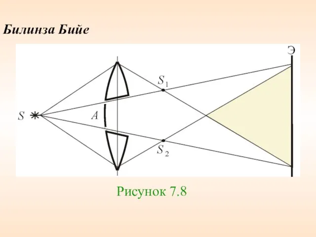 Билинза Бийе Рисунок 7.8