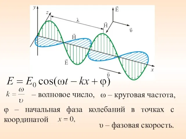 ω – круговая частота, φ – начальная фаза колебаний в точках