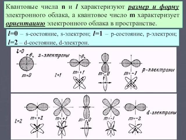 Квантовые числа n и l характеризуют размер и форму электронного облака,