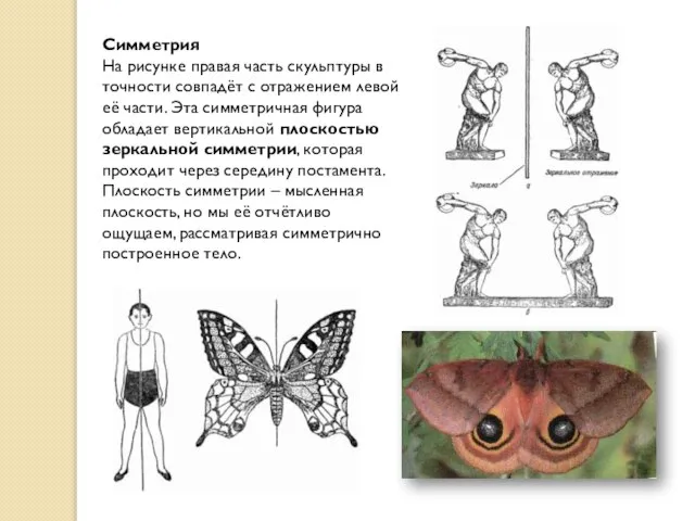 Симметрия На рисунке правая часть скульптуры в точности совпадёт с отражением