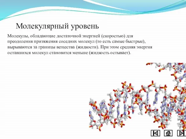 Молекулярный уровень Молекулы, обладающие достаточной энергией (скоростью) для преодоления притяжения соседних