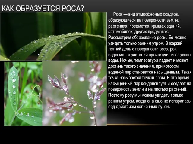 КАК ОБРАЗУЕТСЯ РОСА? Роса — вид атмосферных осадков, образующиеся на поверхности