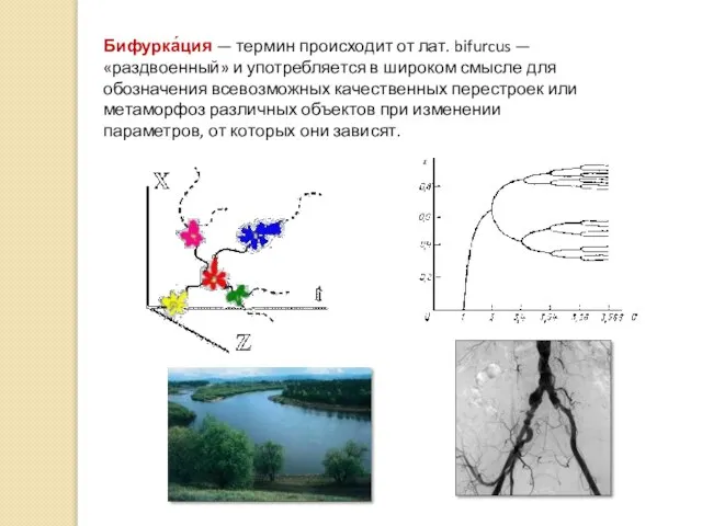 Бифурка́ция — термин происходит от лат. bifurcus — «раздвоенный» и употребляется