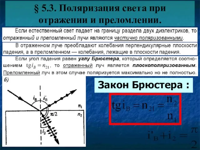 § 5.3. Поляризация света при отражении и преломлении. Закон Брюстера :