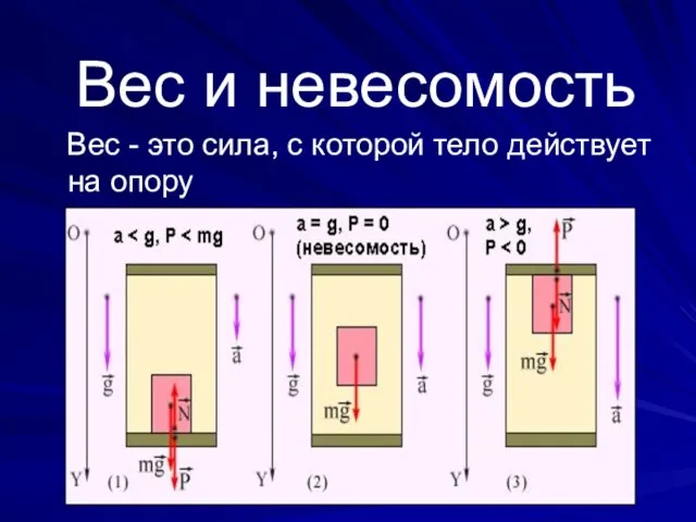 Вес и невесомость Вес - это сила, с которой тело действует на опору