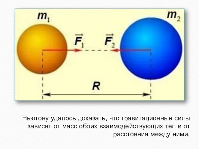 Ньютону удалось доказать, что гравитационные силы зависят от масс обоих взаимодействующих