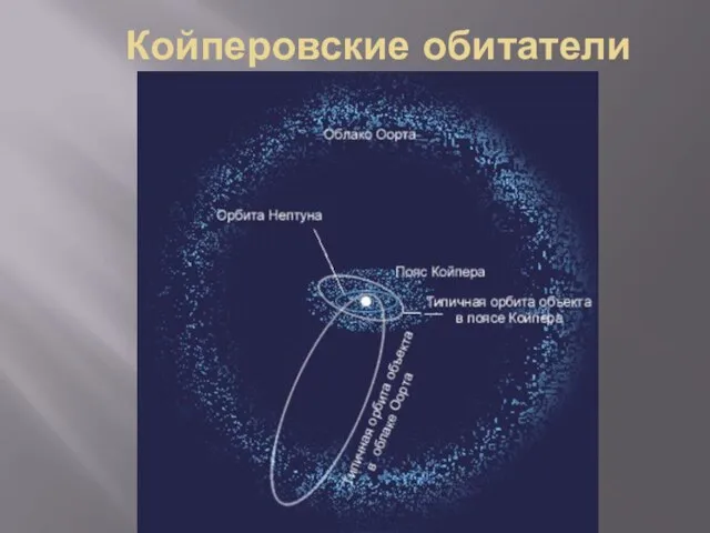 Койперовские обитатели