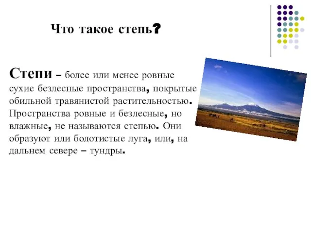 Что такое степь? Степи – более или менее ровные сухие безлесные