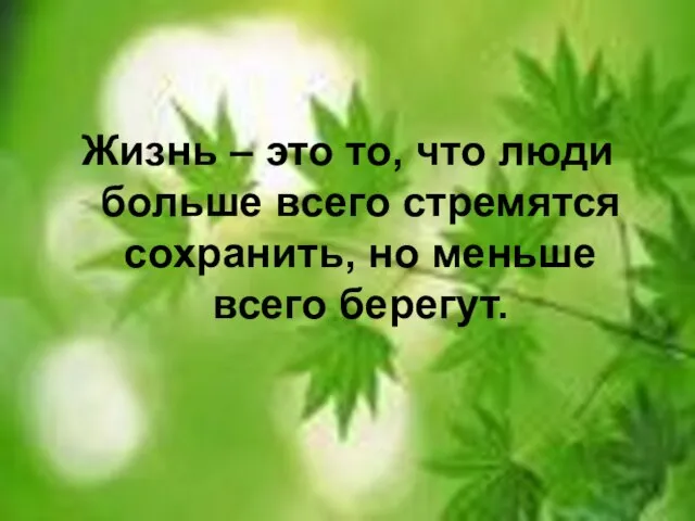 Жизнь – это то, что люди больше всего стремятся сохранить, но меньше всего берегут.