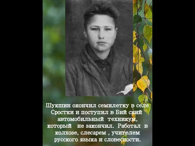 Шукшин окончил семилетку в селе Сростки и поступил в Бийский автомобильный