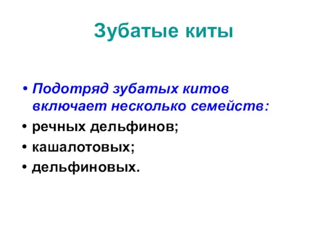 Зубатые киты Подотряд зубатых китов включает несколько семейств: речных дельфинов; кашалотовых; дельфиновых.