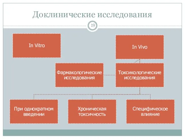 Доклинические исследования