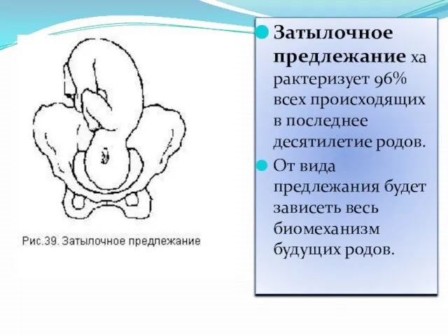 Затылочное предлежание характеризует 96% всех происходящих в последнее десятилетие родов. От