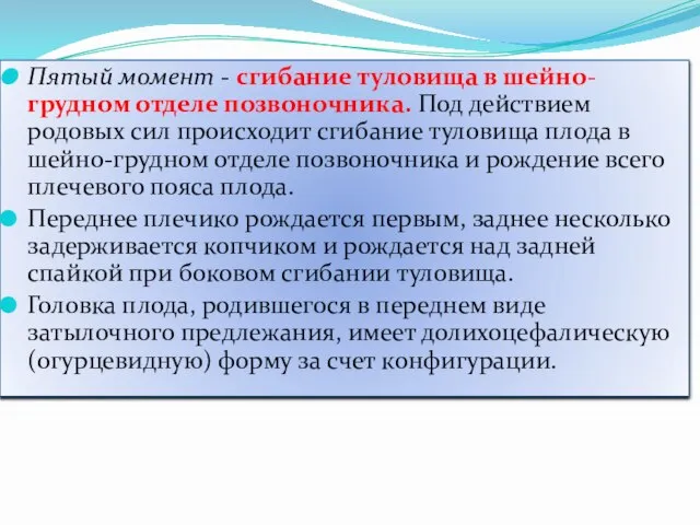 Пятый момент - сгибание туловища в шейно-грудном отделе позвоночника. Под действием