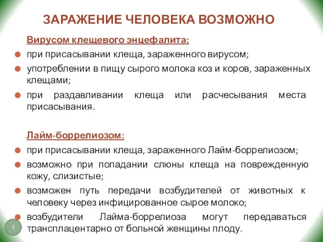 ЗАРАЖЕНИЕ ЧЕЛОВЕКА ВОЗМОЖНО Вирусом клещевого энцефалита: при присасывании клеща, зараженного вирусом;