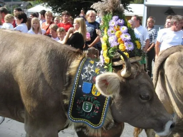 Найбільше свято навесні - проводи корів на гірські пасовища. Всім селом