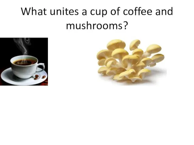 What unites a cup of coffee and mushrooms?