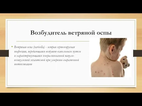 Возбудитель ветряной оспы Ветряная оспа (varicella) - острая герпесвирусная инфекция, передающаяся