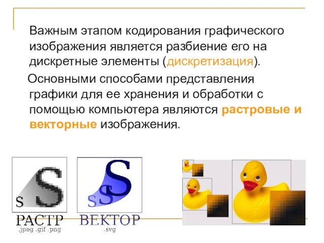 Важным этапом кодирования графического изображения является разбиение его на дискретные элементы