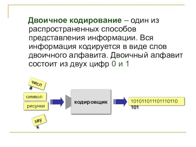 Двоичное кодирование – один из распространенных способов представления информации. Вся информация