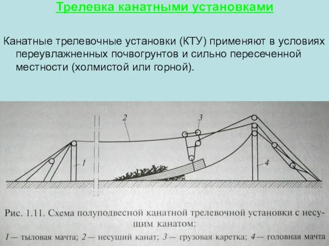 Трелевка канатными установками Канатные трелевочные установки (КТУ) применяют в условиях переувлажненных