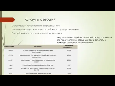 Скауты сегодня Организация Российских юных разведчиков Национальная организация российских скаутов-разведчиков Российская