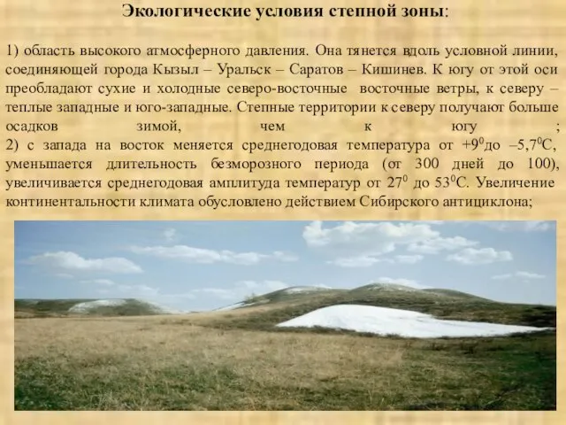 Экологические условия степной зоны: 1) область высокого атмосферного давления. Она тянется