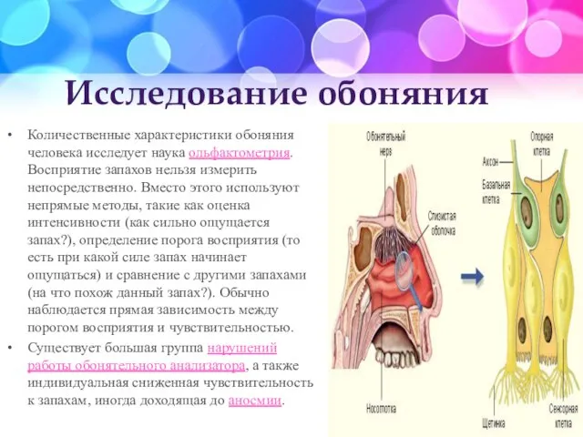 Исследование обоняния Количественные характеристики обоняния человека исследует наука ольфактометрия. Восприятие запахов