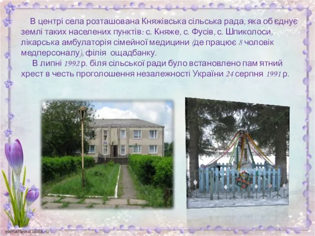 В центрі села розташована Княжівська сільська рада, яка об'єднує землі таких
