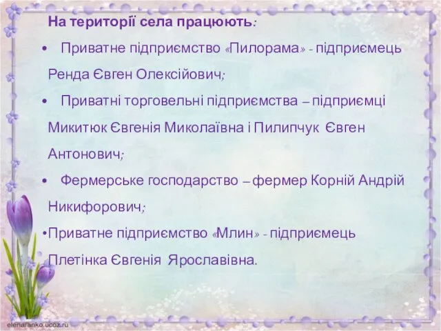 На території села працюють: Приватне підприємство «Пилорама» - підприємець Ренда Євген