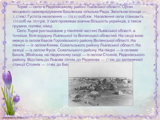 Торки — село в Радехівському районі Львівської області. Орган місцевого самоврядування