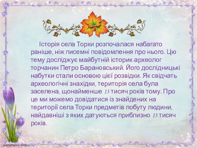 Історія села Торки розпочалася набагато раніше, ніж писемні повідомлення про нього.