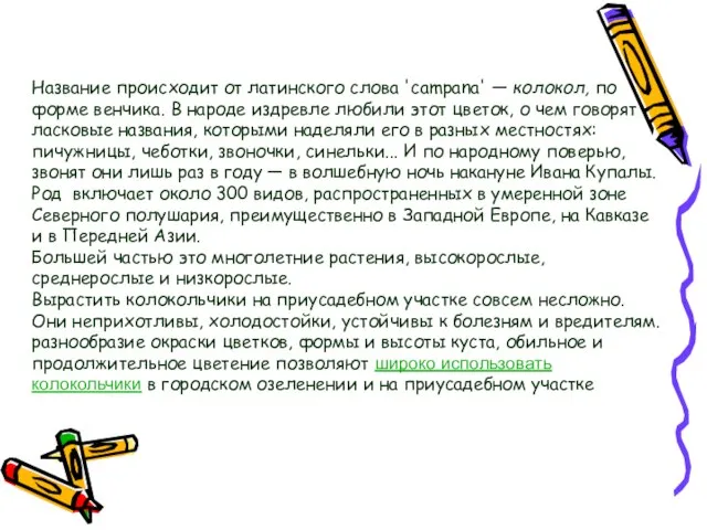 Название происходит от латинского слова 'campana' — колокол, по форме венчика.