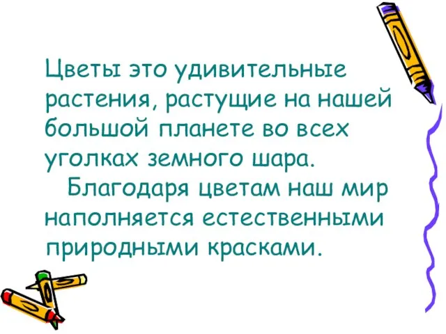 Цветы это удивительные растения, растущие на нашей большой планете во всех