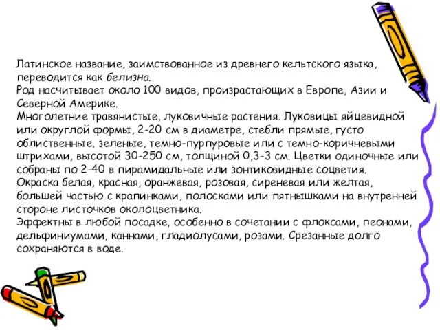 Латинское название, заимствованное из древнего кельтского языка, переводится как белизна. Род