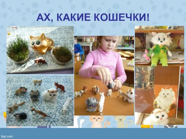 АХ, КАКИЕ КОШЕЧКИ!