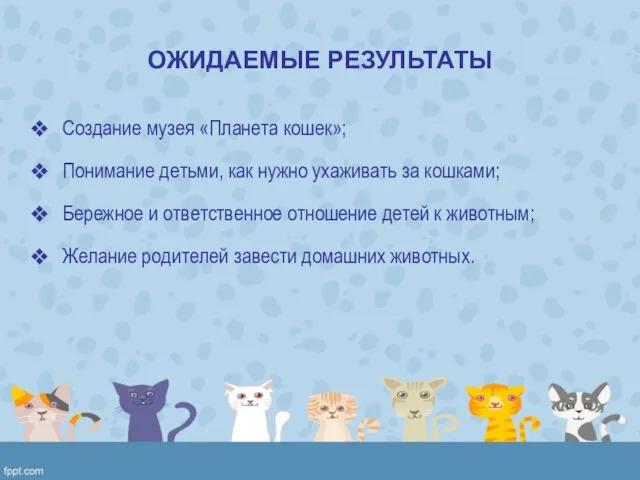 ОЖИДАЕМЫЕ РЕЗУЛЬТАТЫ Создание музея «Планета кошек»; Понимание детьми, как нужно ухаживать