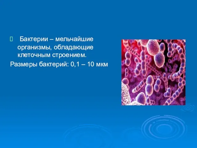 Бактерии – мельчайшие организмы, обладающие клеточным строением. Размеры бактерий: 0,1 – 10 мкм