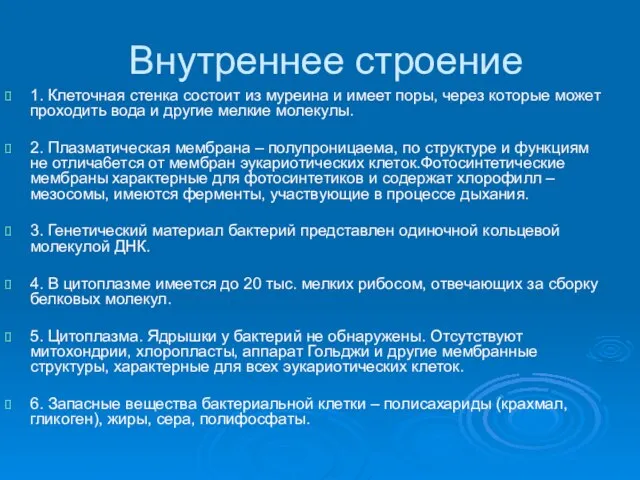 Внутреннее строение 1. Клеточная стенка состоит из муреина и имеет поры,