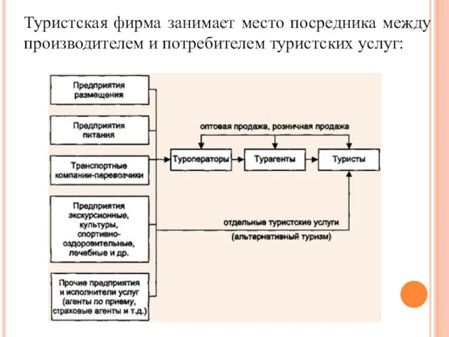 Туристская фирма занимает место посредника между производителем и потребителем туристских услуг: