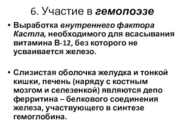 6. Участие в гемопоэзе Выработка внутреннего фактора Кастла, необходимого для всасывания