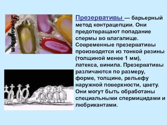 Презервативы — барьерный метод контрацепции. Они предотвращают попадание спермы во влагалище.