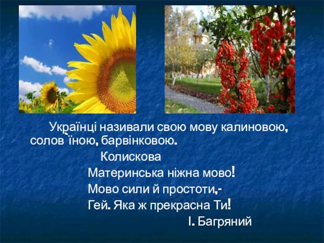 Українці називали свою мову калиновою, солов`їною, барвінковою. Колискова Материнська ніжна мово!