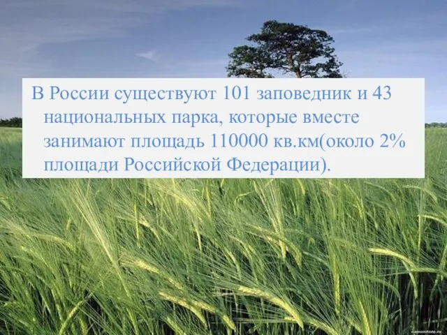 В России существуют 101 заповедник и 43 национальных парка, которые вместе